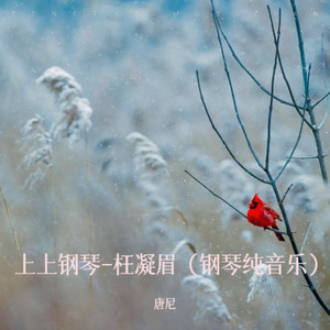 枉凝眉