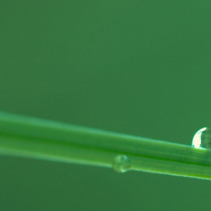 耿马傣族舞南西米