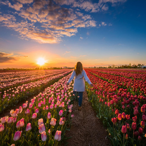 Tonos Emocionales Que Envuelven