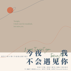 今夜我不会遇见你