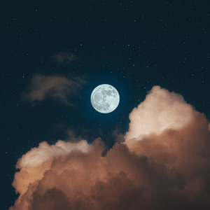 You Are Wise in Speaking but Not by Taking Action