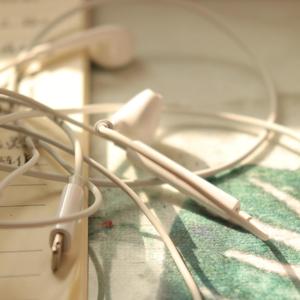 椿（feat.树哥）