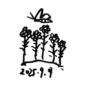 不淡