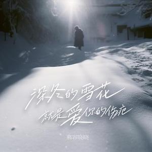 深冬的雪花就是爱你的伤疤  (DJ默涵版)