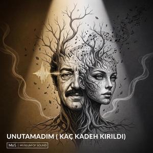 Unutamadım (Kaç Kadeh Kırıldı) - Sezin Umay