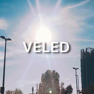 Veled