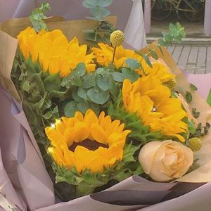 天龙八部之宿敌(抖音吉他版)