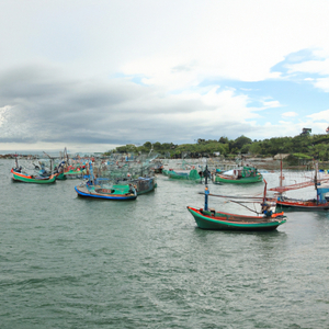 Poh Naswam Pa Zan Bande