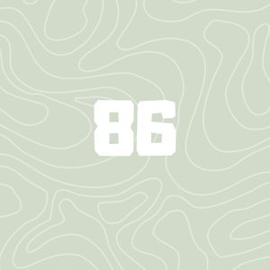 86