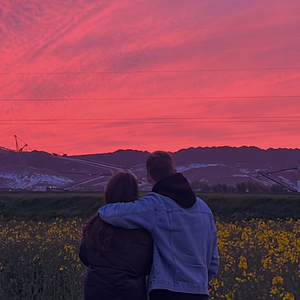 Остыли вновь