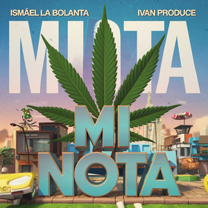 MI NOTA