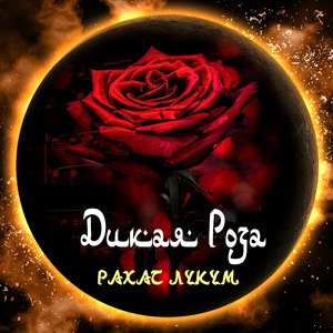 Долети мой любимый