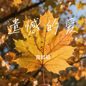 遗憾的爱