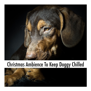 Doggy Stretch Loving Soundtrack