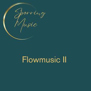 Flowmusic II