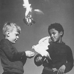 Are We Doves?