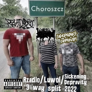 Anal Sex with Microphone