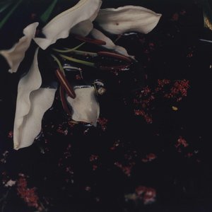 I Grow Tired But Dare Not Fall Asleep (edit)