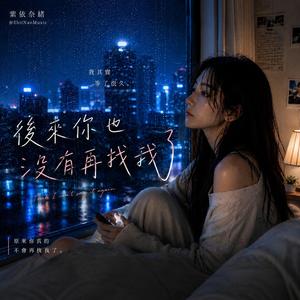 後來你也沒有再找我了