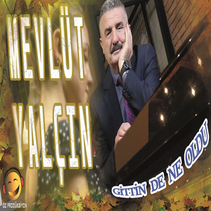 Gittin De Ne Oldu