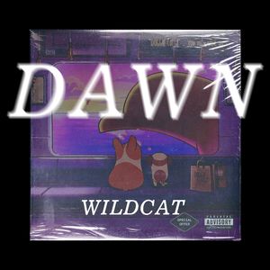 【Free】“DAWN”所愿皆所得 Type Beat