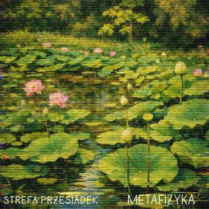 strefa przesiadek