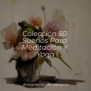 Majestuoso Volando Sobre Tierras Desconocidas