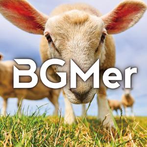 からっぽの美学