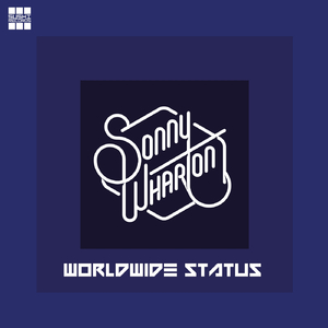 Worldwide Status (Original Mix)