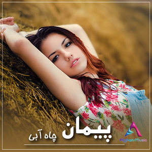 Majlesi Dewanagan Nab