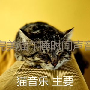 微妙的猫心情