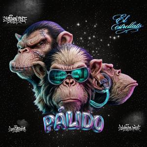 Pálido