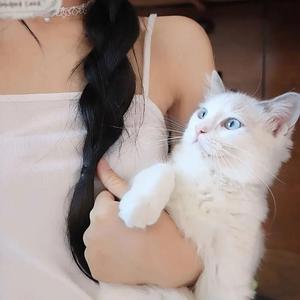 永不失联的爱（走心版）