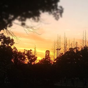 我的心脏也会如同海浪般为你跳动无数次