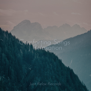 Echoes in the Twilight Sky