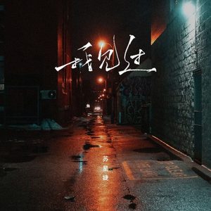 我见过（DJAh版）