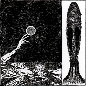 глазницы. ров