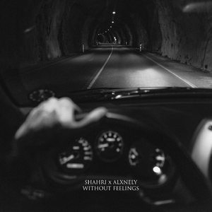 Без чувств (Remix By Alxnely)