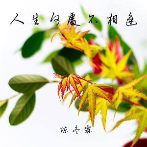 人生何处不相逢