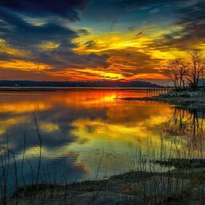 卡夫卡的后现代生活