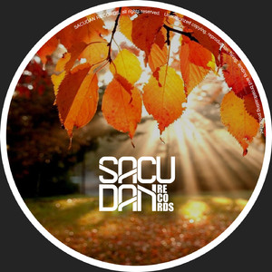 Riser Noise (Original Mix)