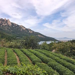 献给七零后的我们