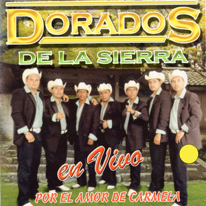 Voy a Danzar (En Vivo)