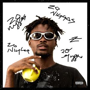20 N****S (feat. Questo)