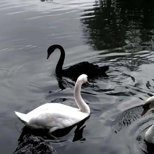 So.Why.You(Prod.Gr33nartBeats)