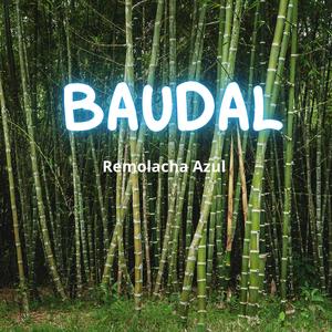 Baudal