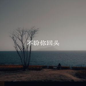 不盼你回头