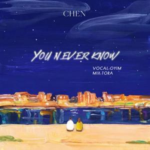 你不懂 (You never know) (그댄 모르죠)（翻自 Chen(金钟大)）