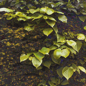 Switzerland: Bells on Bahnhofstrasse with Little People Dancing on the Side of a Jewelry Building in Zurich