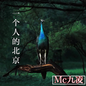 MC九凌《把你破手机音量调到最大看看（DJ版）》